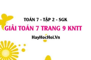 Giải Toán 7 trang 9 Kết nối tri thức Tập 2 SGK